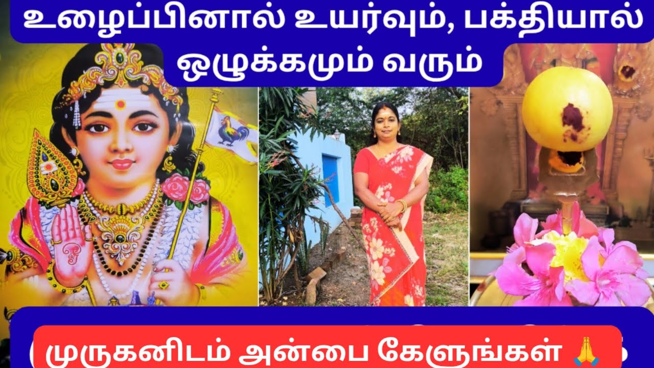 முருகனை வணங்க வேண்டாம் 🙏🪔#புத்தியுள்ள மனிதரெல்லாம் வெற்றி கொள்வதில்லை 🥰#@AkilayogieA 