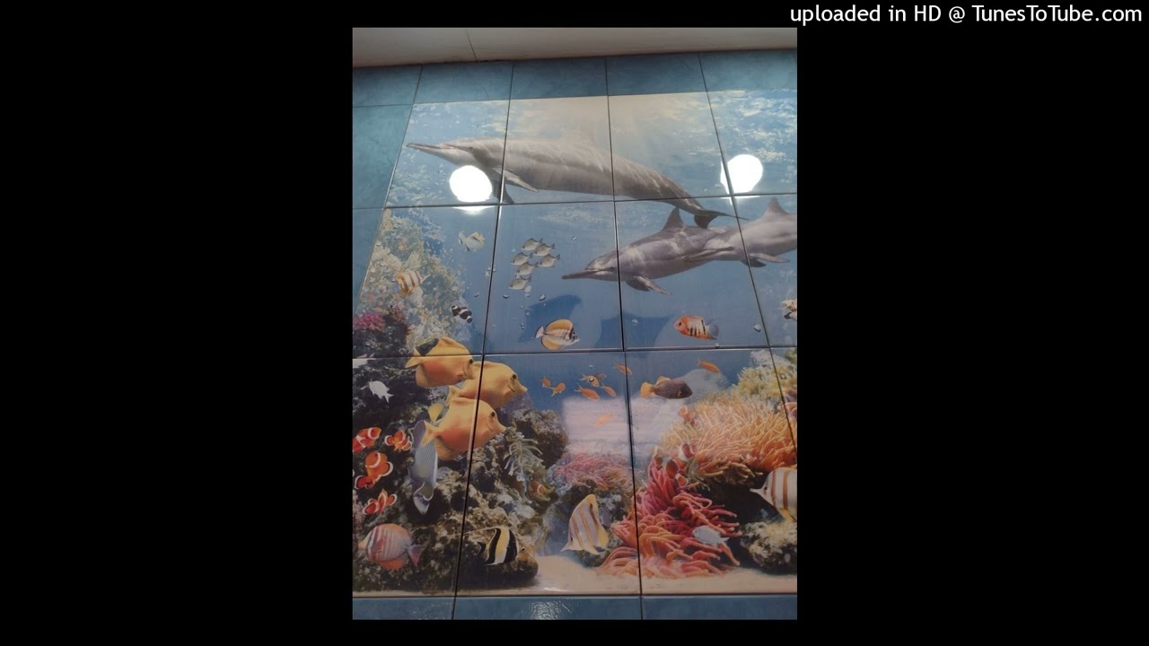 BERTIN GÓMEZ TROPICAL ATLANTIKO.