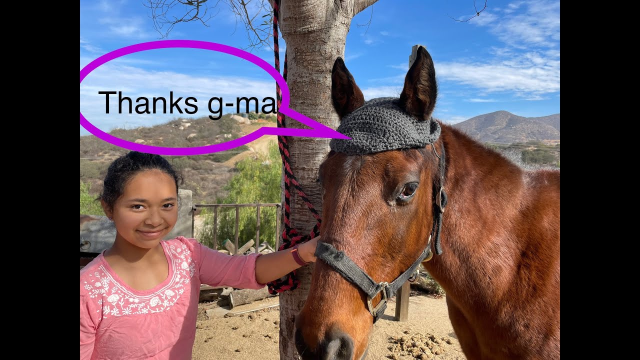 Tejiendo un Gorro para Caballo Crocheting horse bonnet