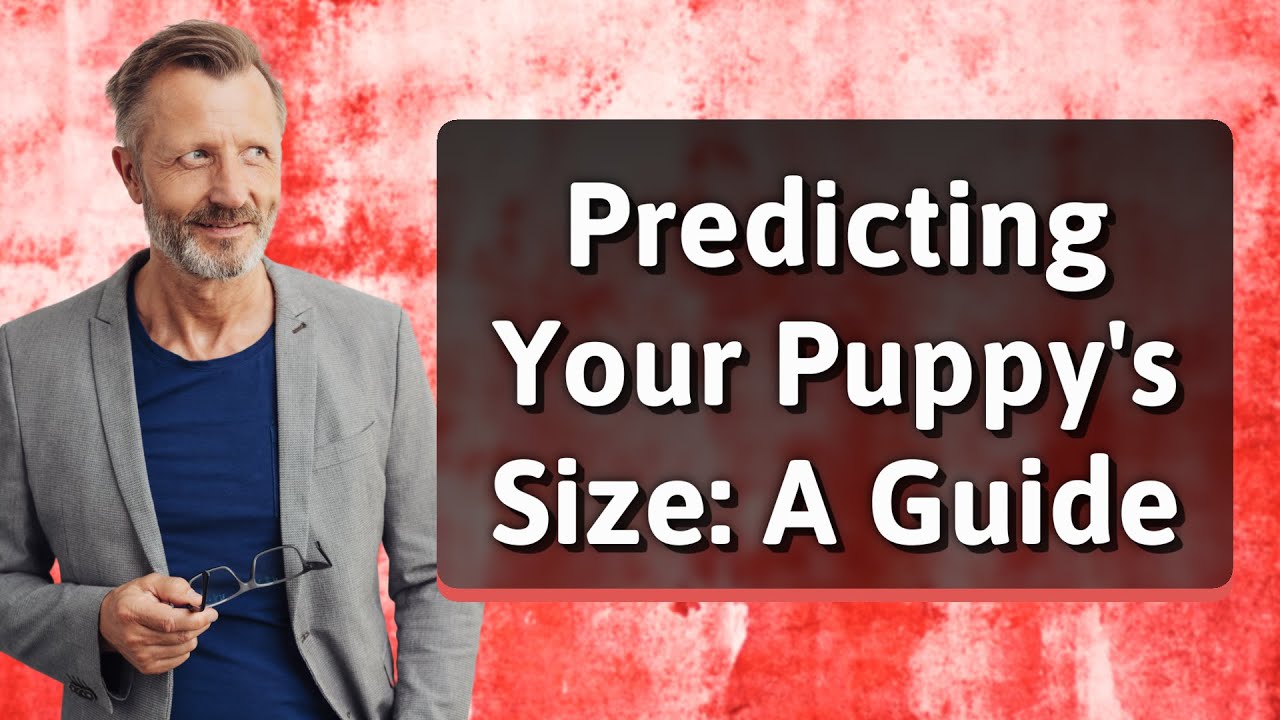 Predicting Your Puppy's Size: A Guide