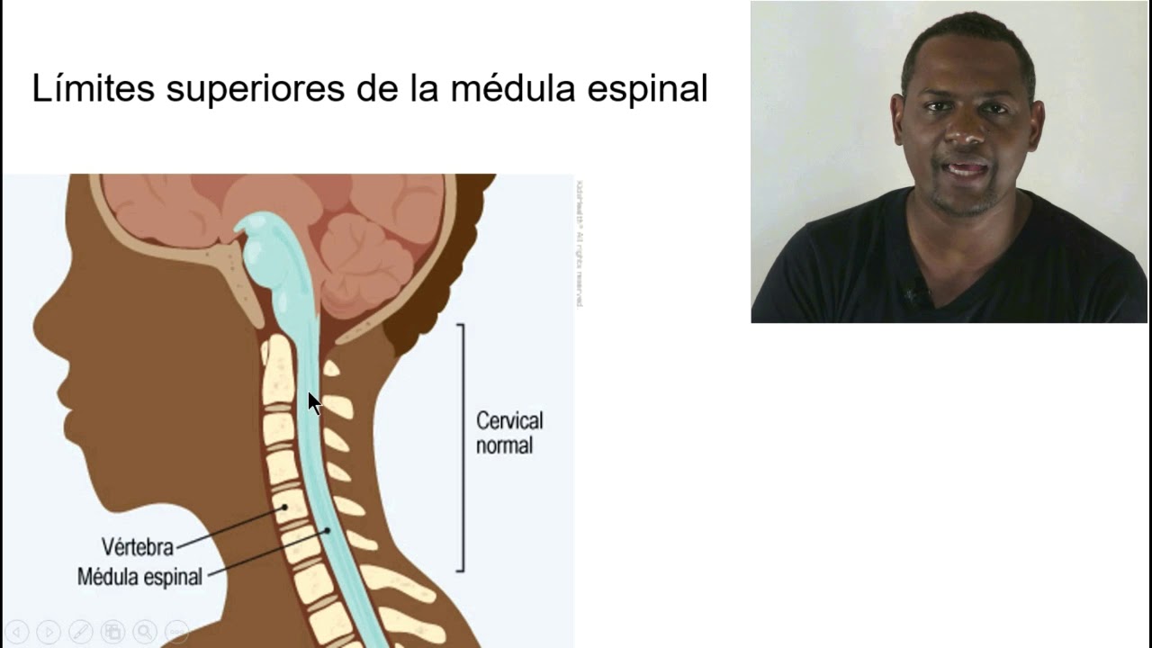 Médula Espinal