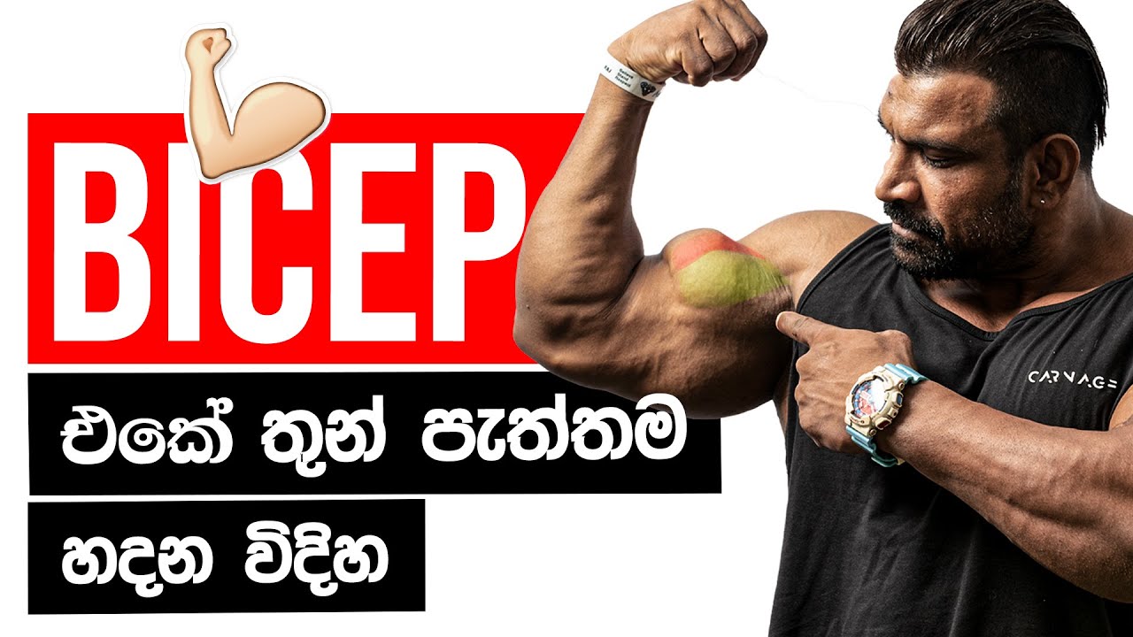 ලොකුවට BICEP MUSCLE එක හදන්නෙ මෙහමයි! අනිවාරෙන් කරන්න!     (BICEP GROWTH TIPS BY LUCION)