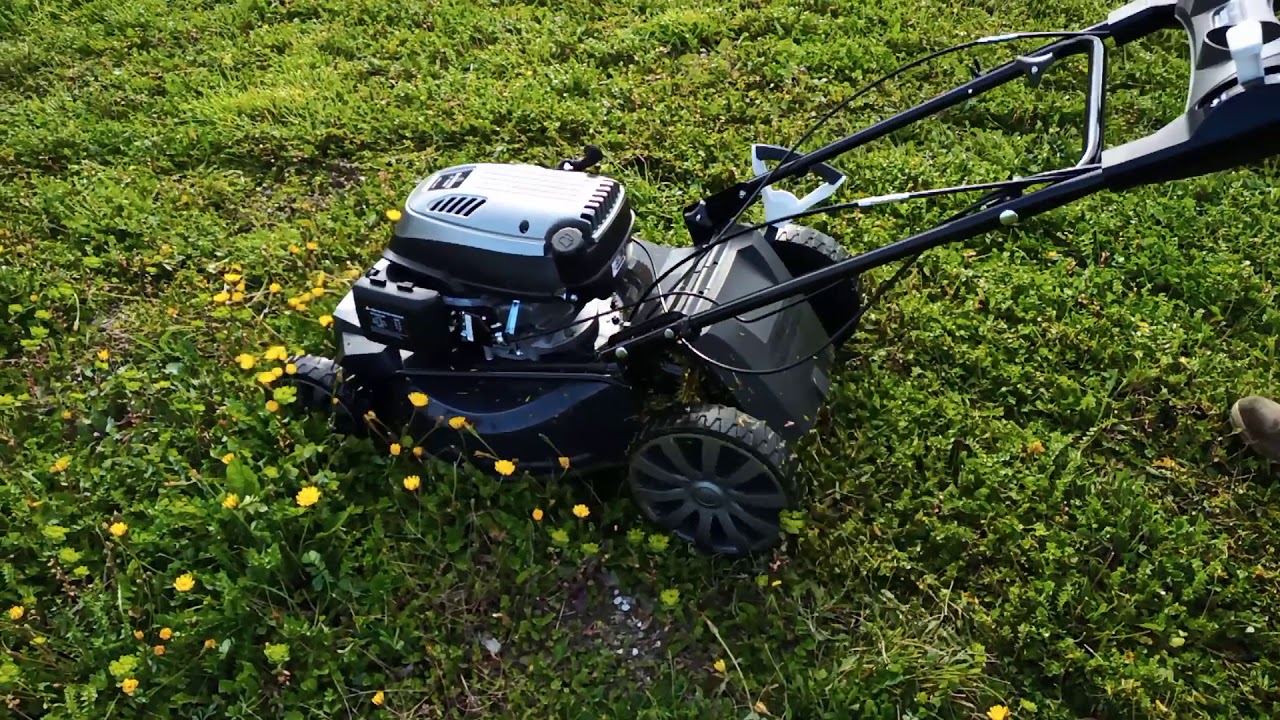Rasaerba Blackstone sp530 Deluxe