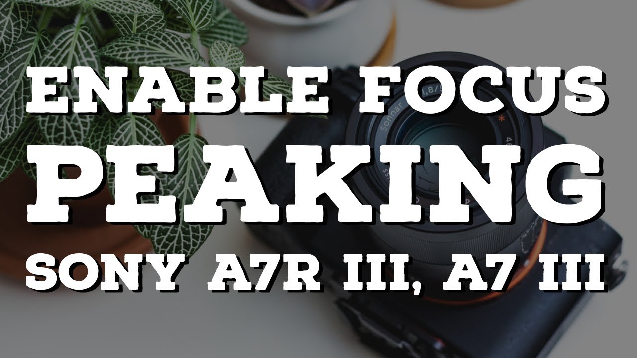 Sony A7R iii: how to enable focus peaking