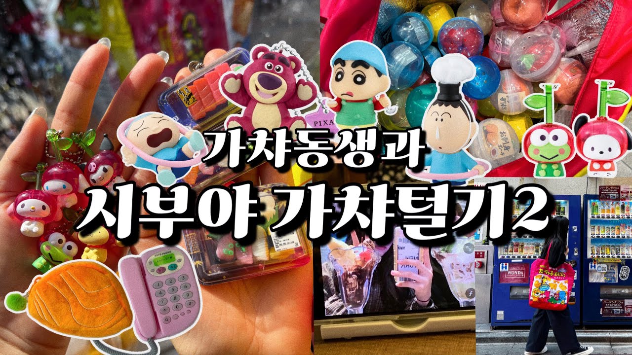 실망시키지 않는 가챠동생 그녀의 가챠력🔥시부야 가챠 탈탈 하고 옴💸(feat.산리오식완, 보너스영상)