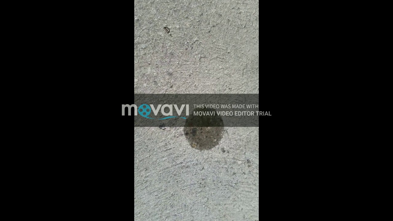 Concrete Permeability Test