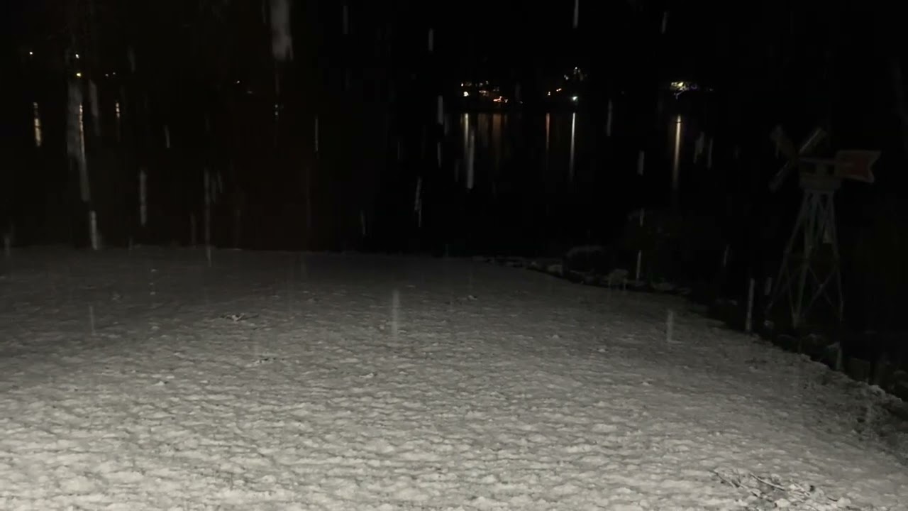 2026 03 13 Snow At Stansberry Lake