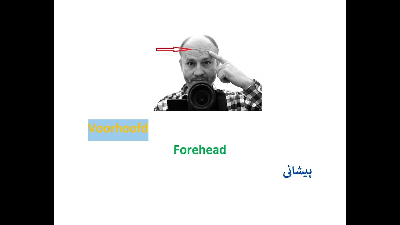 Learn Body parts in Dutch Lesson 17 in Urdu / Hindi / English (part1)