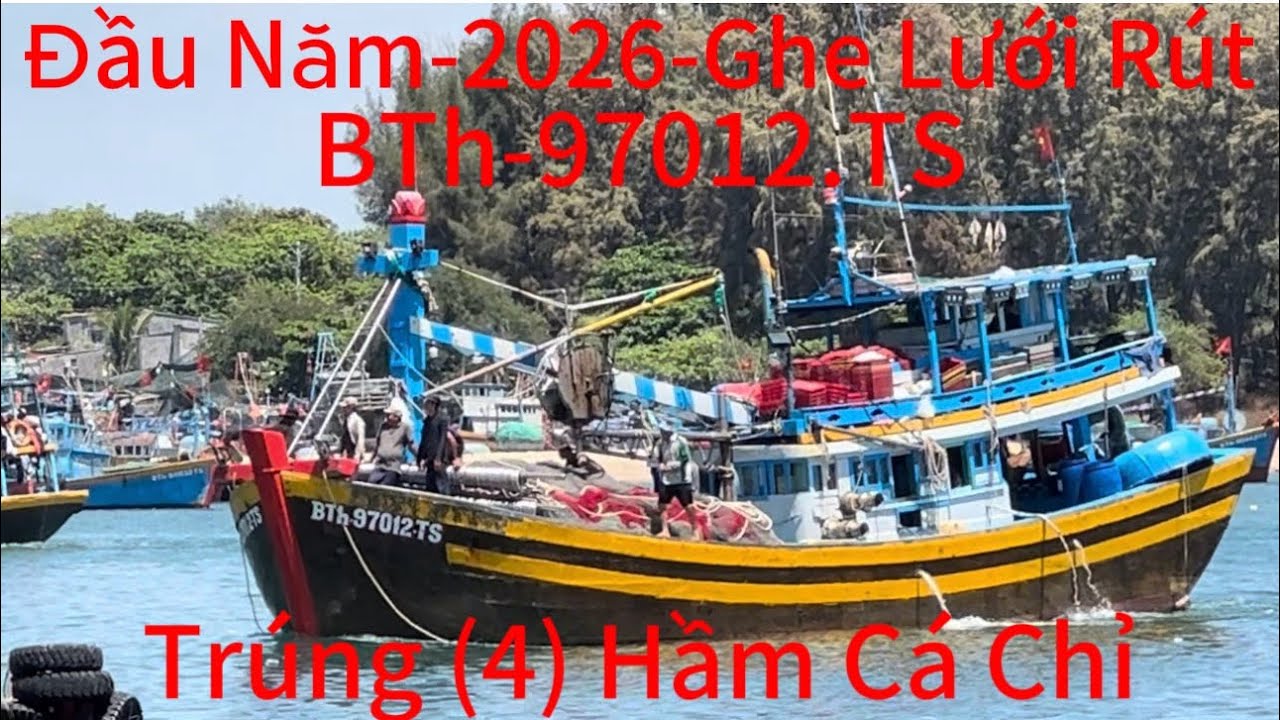 Đầu Năm-2026-Lưới Rút Siêu To-BTh.97012.TS.Tỉnh Lâm Đồng.Trúng (4) Hầm Cá Chỉ-Vô Cảng Lagi 