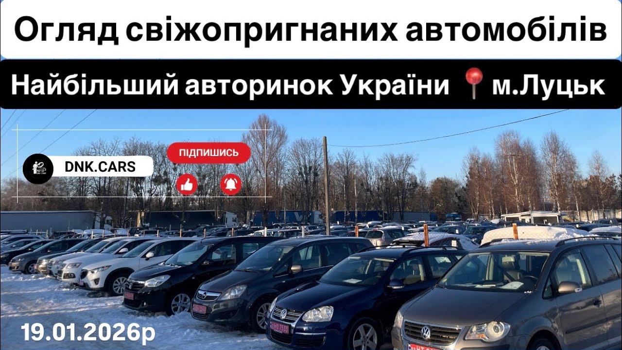 Огляд свіжо пригнаних авто з найбільшого авторинку України