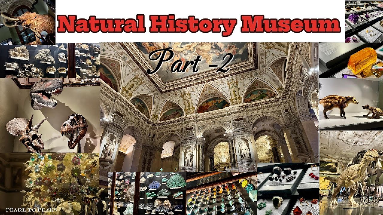 Discovering Vienna’s Natural History Museum: Minerals, Petrology & Prehistory
