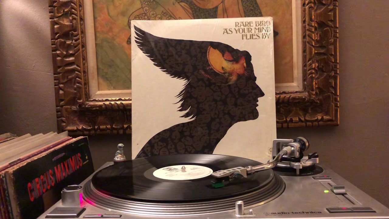 Rare Bird - Flight: As Your Mind Flies By / Vacuum / New York / Central Park