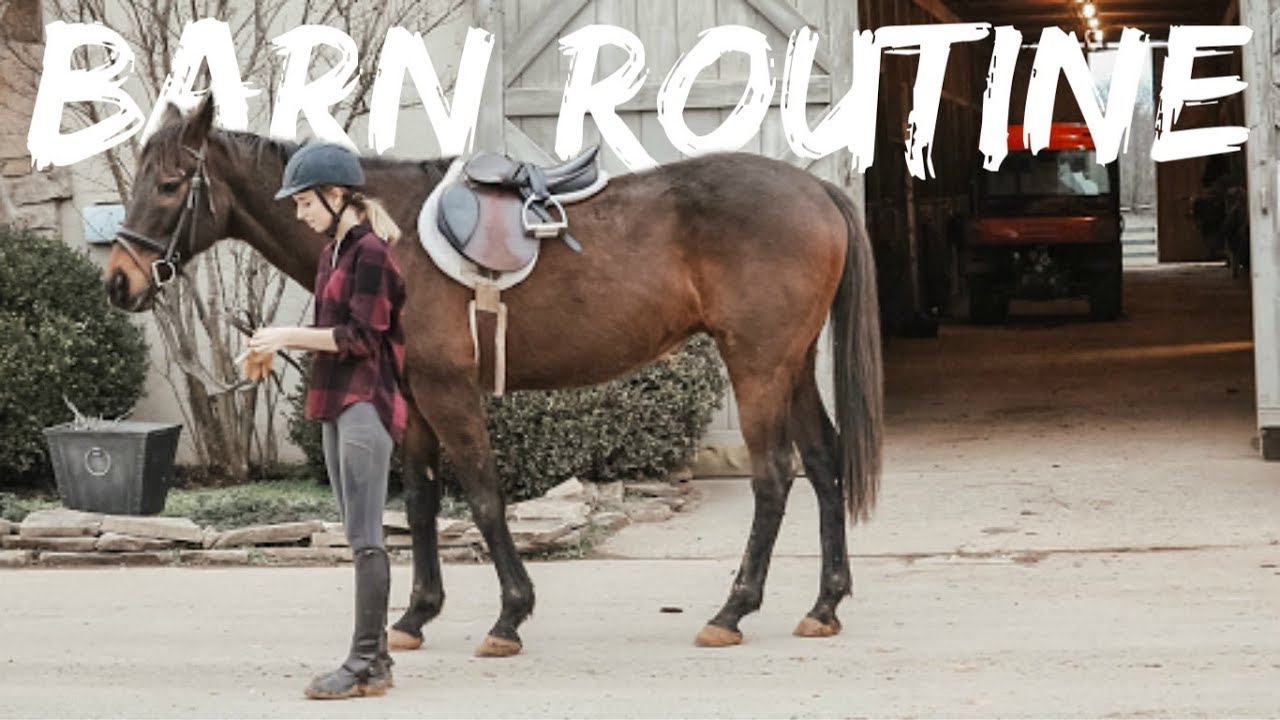Winter Barn Routine with Benjamin!