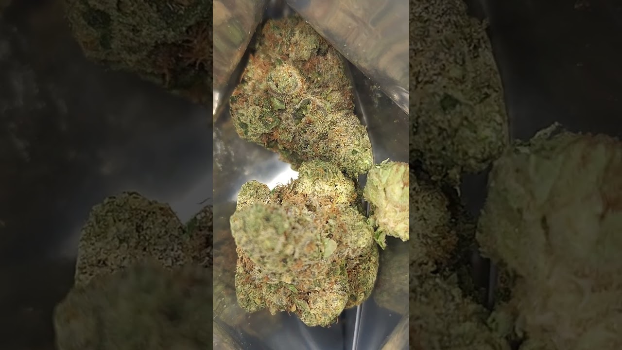 Strain: Chem-Cookies