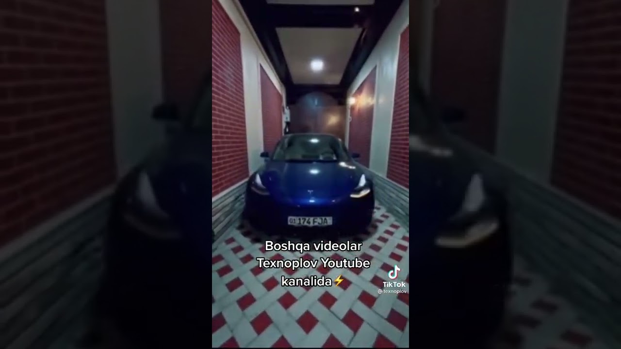 RAQISGA TUSHADIGON TESLA