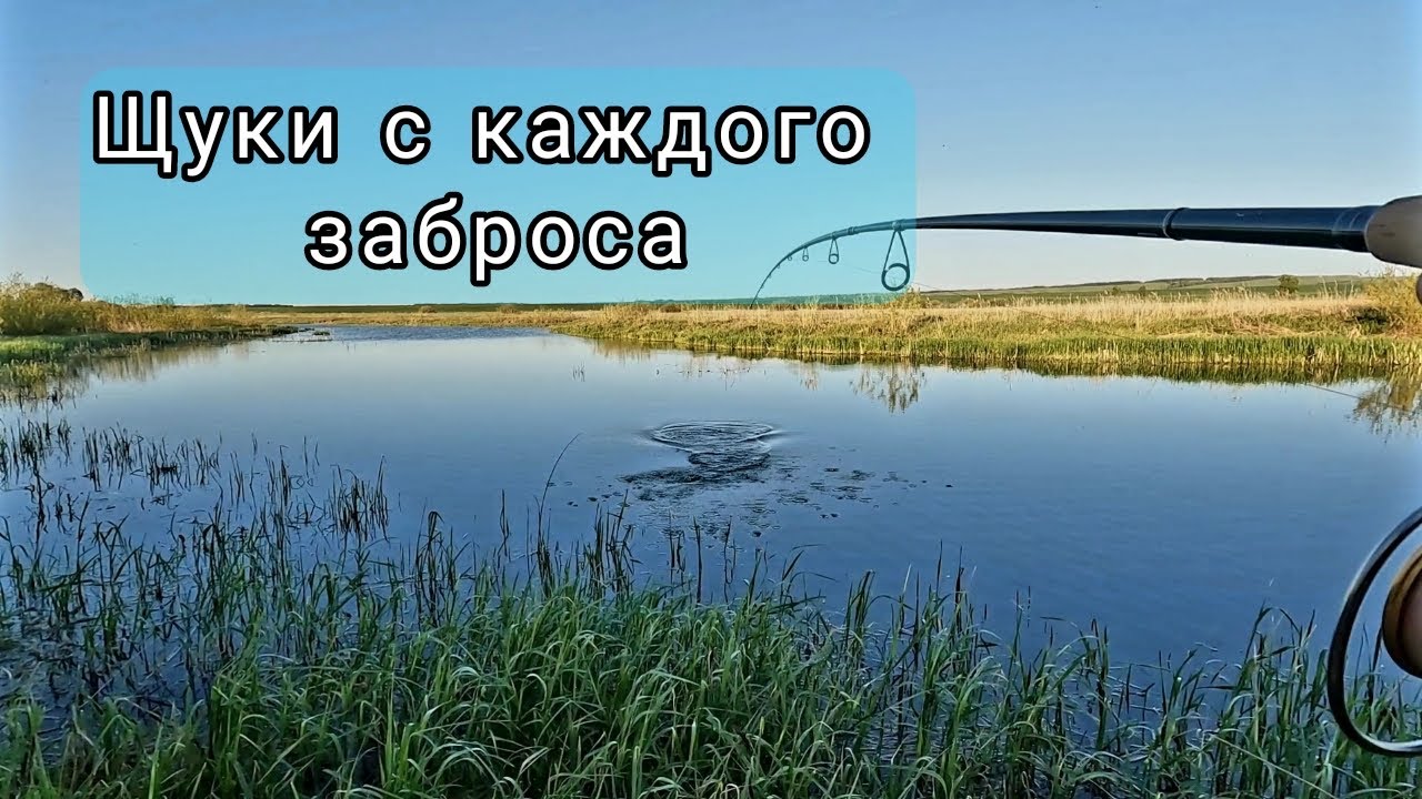 На эту приманку щуки начали клевать с каждого заброса. Ловля щуки в конце мая.