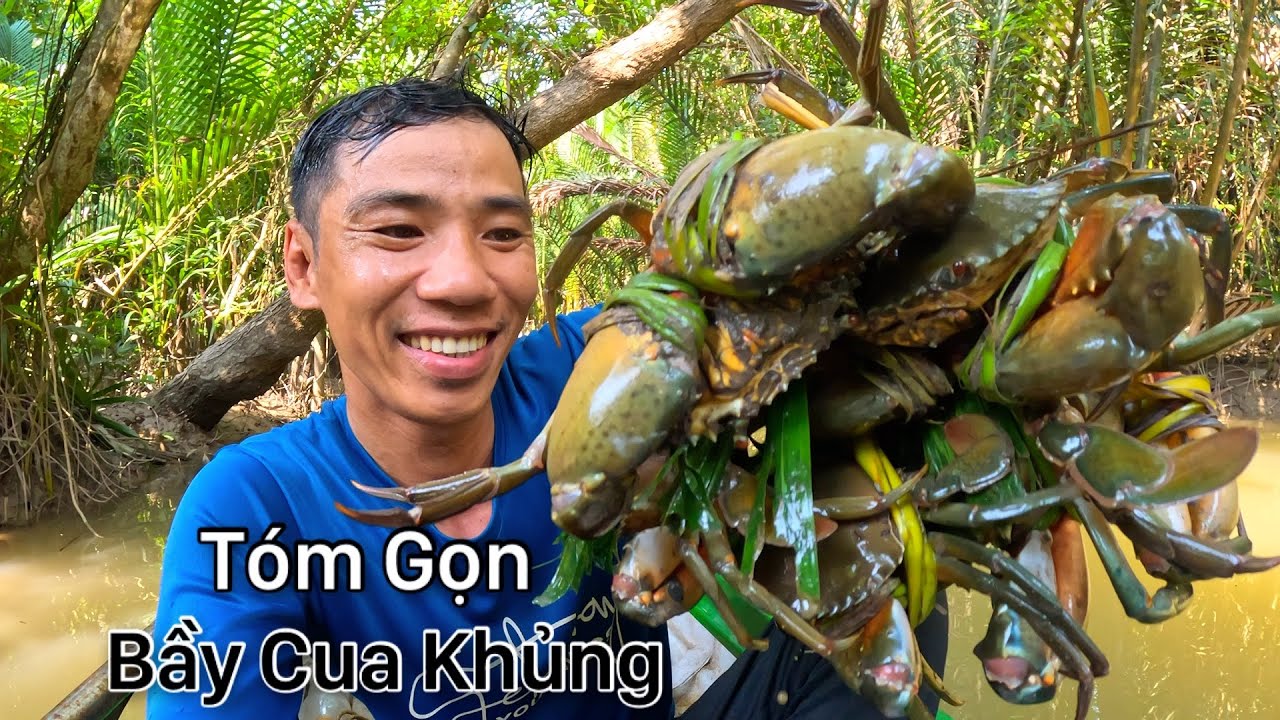 Lần Theo Dấu Vết Tóm Gọn Bầy Cua Khổng Lồ Ẩn Mình Trong Rừng