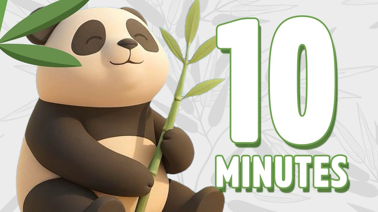 10 Minute Panda Timer with relaxing music