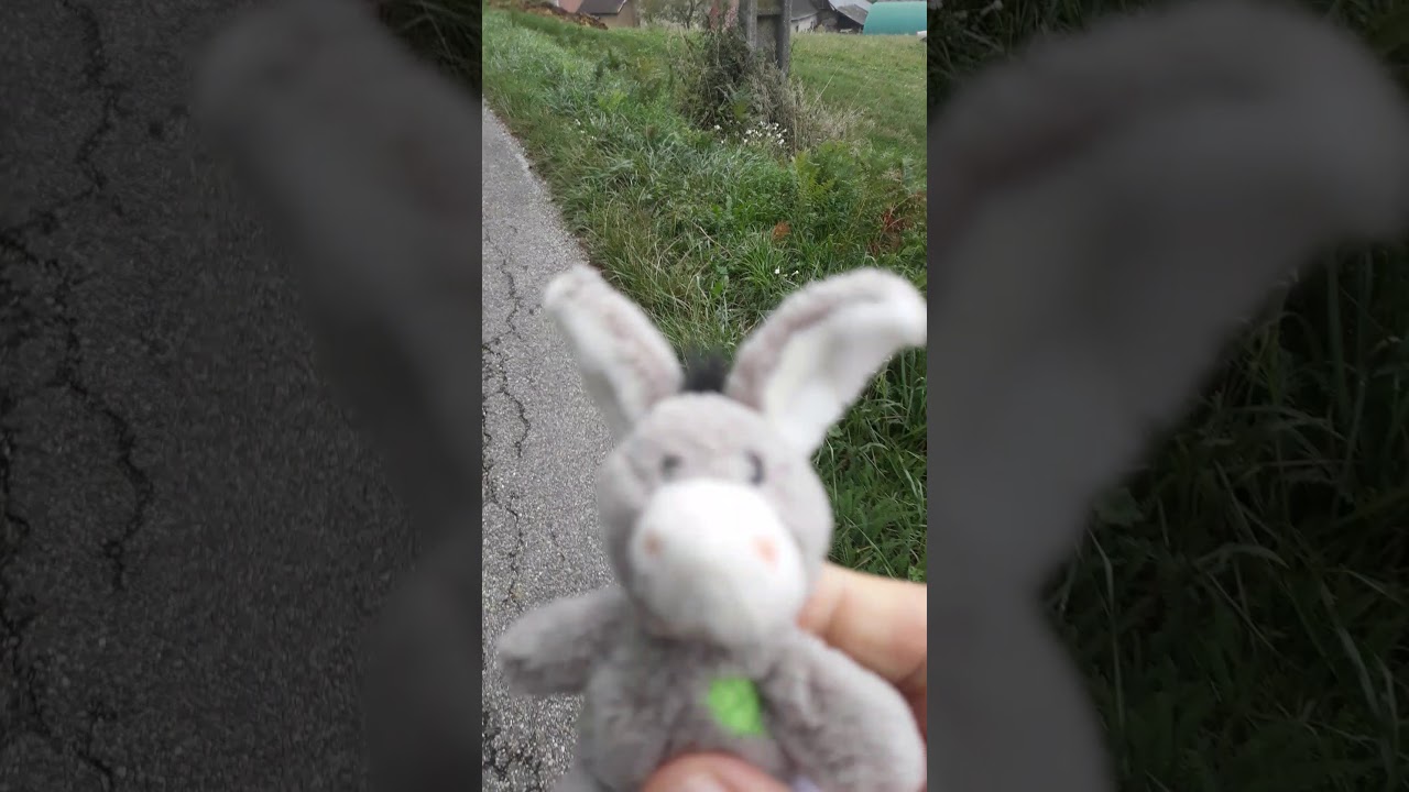 Noah Film 24 Valencogne