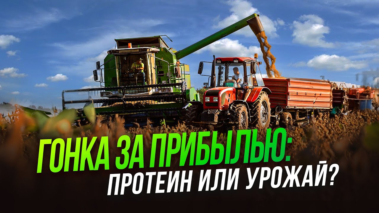Выращивание сои: как получить максимум урожая и протеина? | Лучшие сорта сои | Главные по сое