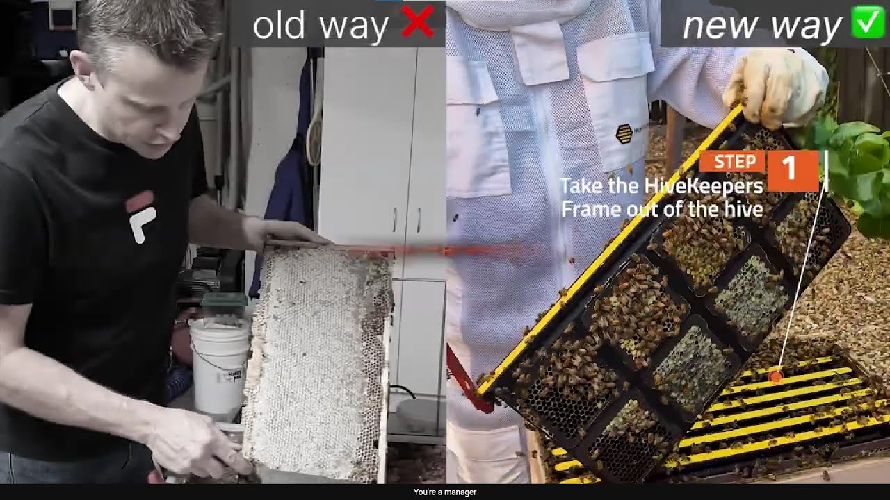 Honey Harvesting: Old Way vs New Way - You Won't Believe the Difference!