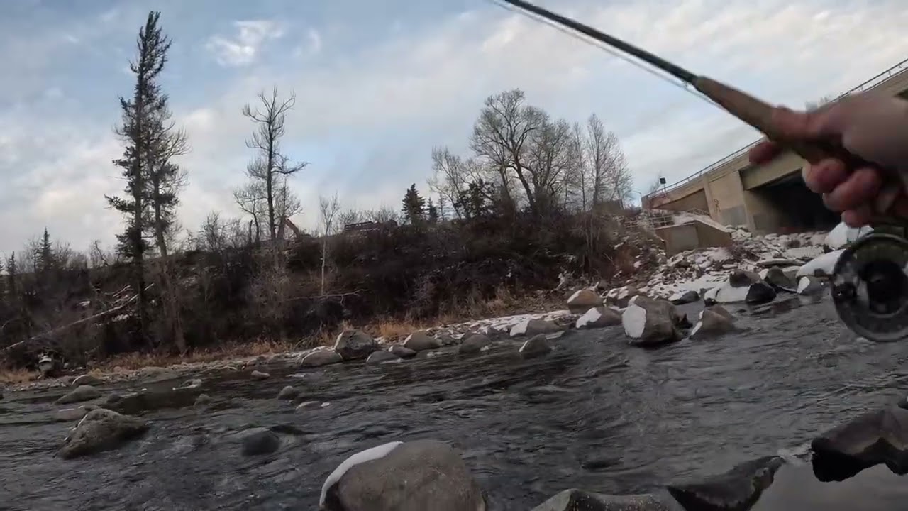 A few fish on the Eagle River