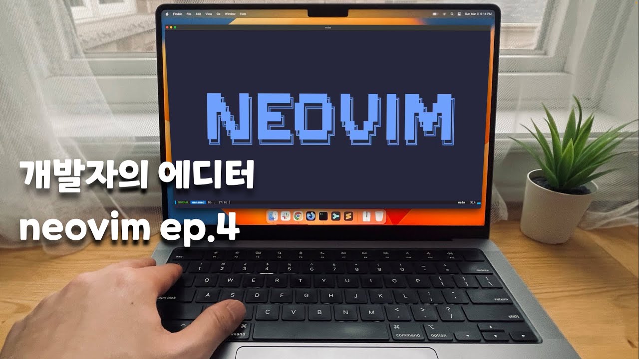 neovim, 내가 무조건 설치하는 4가지 플러그인 소개, 코드 자동완성, 포맷팅 등 [개발자의 에디터]