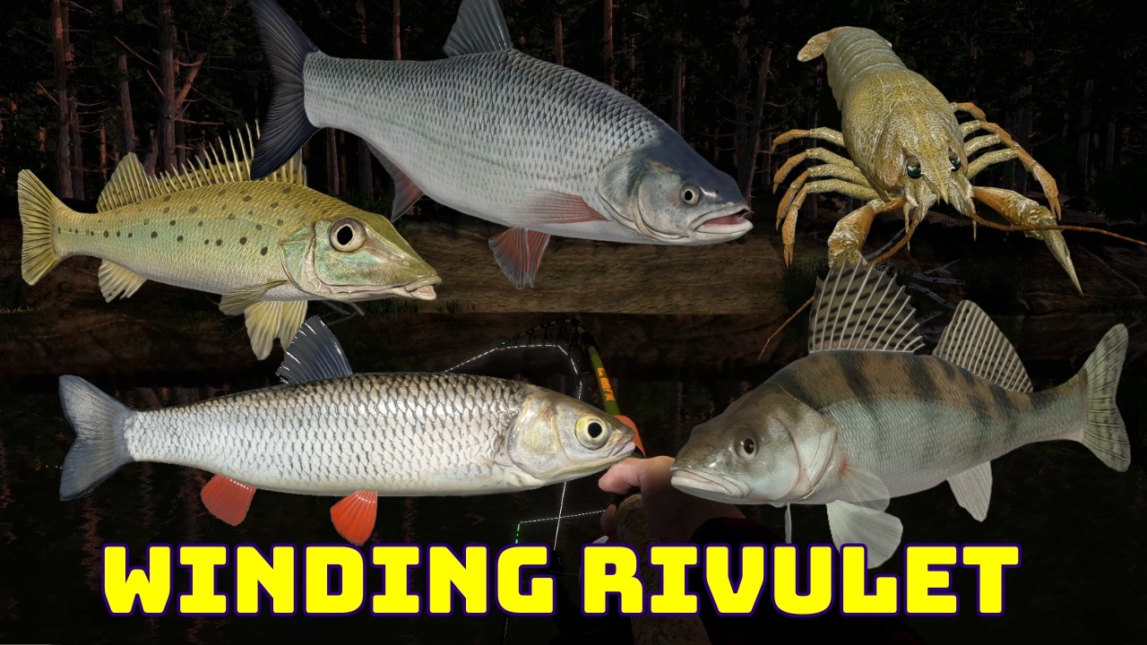 Sirotka i inne Kręty strumyk | Russian Fishing 4
