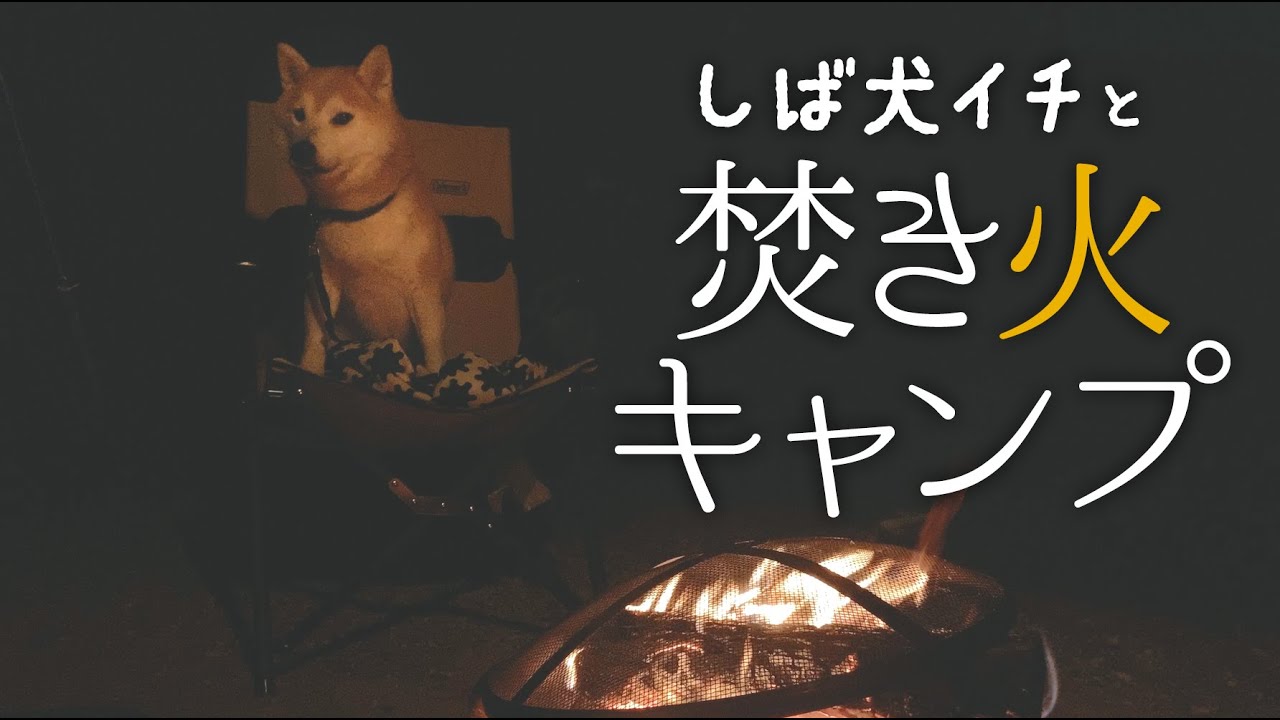 ［Vlog］柴犬イチと焚き火キャンプinスノーピーク箕面キャンプフィールド