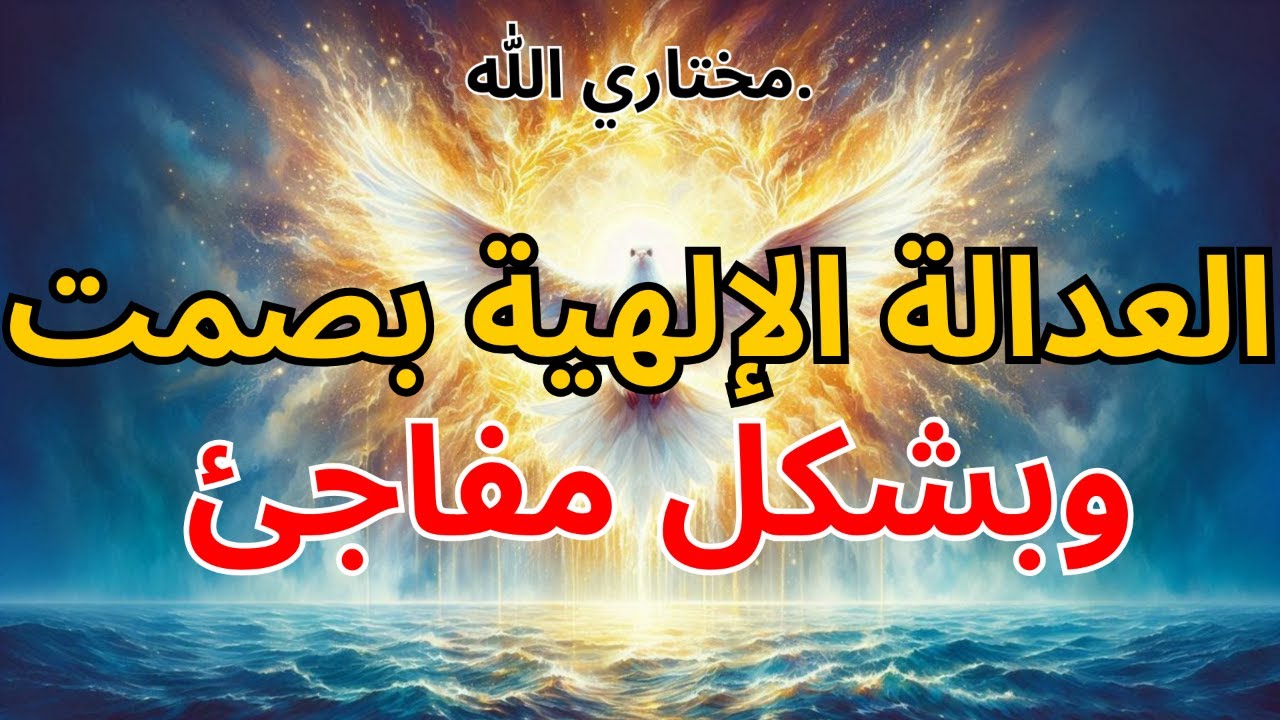 المختارون: الله يقول إن العدالة أصابتها قبل 3 ساعات ⚖️🔥| بركة الله