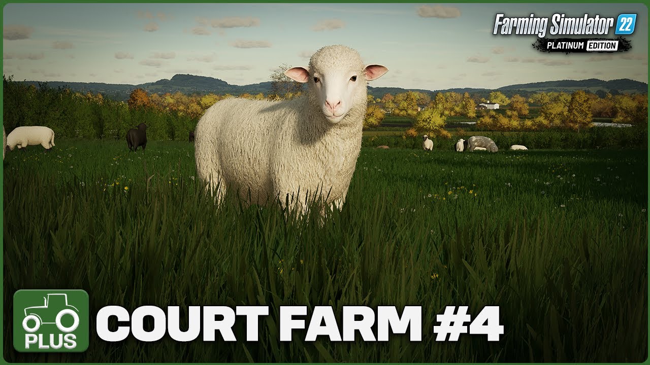 BUYING OUR FIRST SHEEP!! FS22 Court Farm Country Park Episode 4