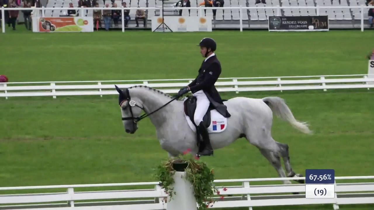 REPRISE DE DRESSAGE | Reprise CCE 7 ans : Commentées par Isabelle Judet – Juge 5* Internationale