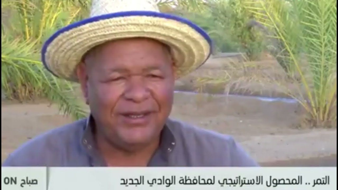انتاج التمور من زراعتها لحصادها و تصنيعها بالوادي الجديد الأولى عالميا في تصديرها.. مع مينا مكرم
