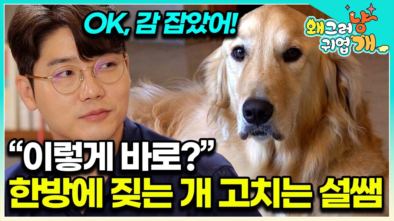 손님만 보면 짖는 개, 유심히 보더니.. 볼수록 신기한 설쌤 매직│#왜그러냥귀엽개