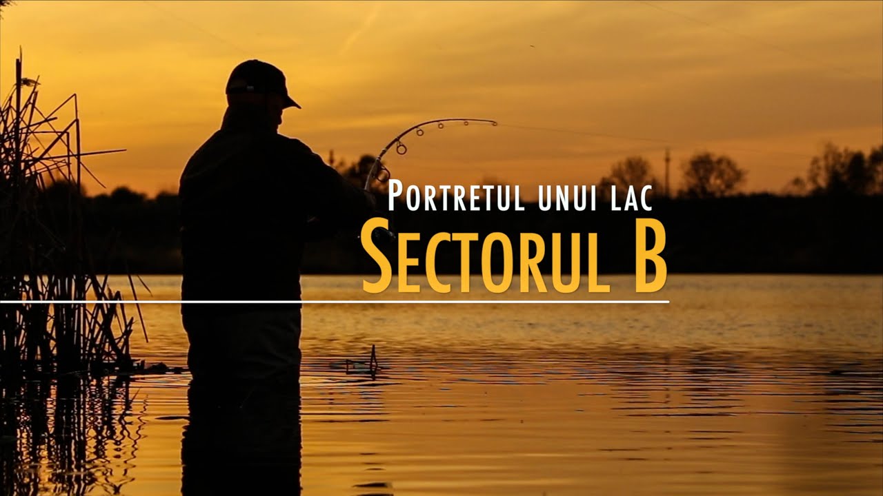 Portretul unui lac: Sectorul B
