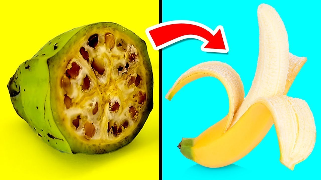 Foods That Originally Looked Totally Different