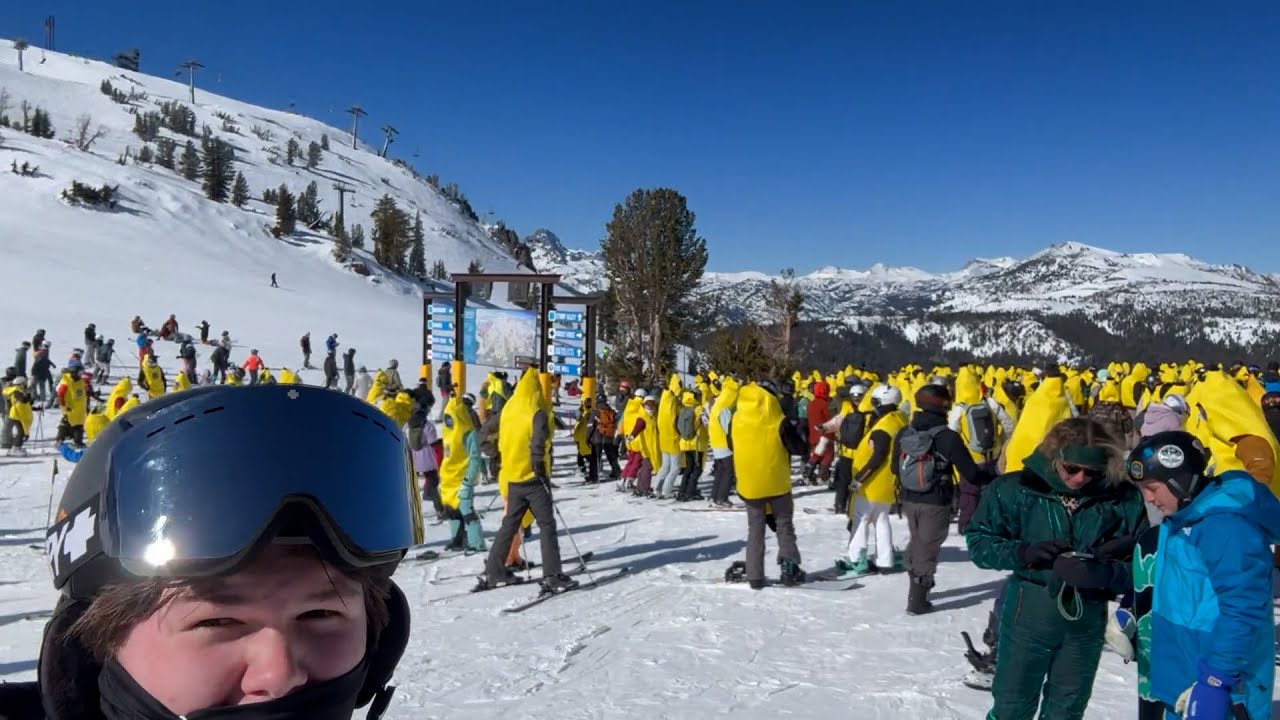 Bananas
