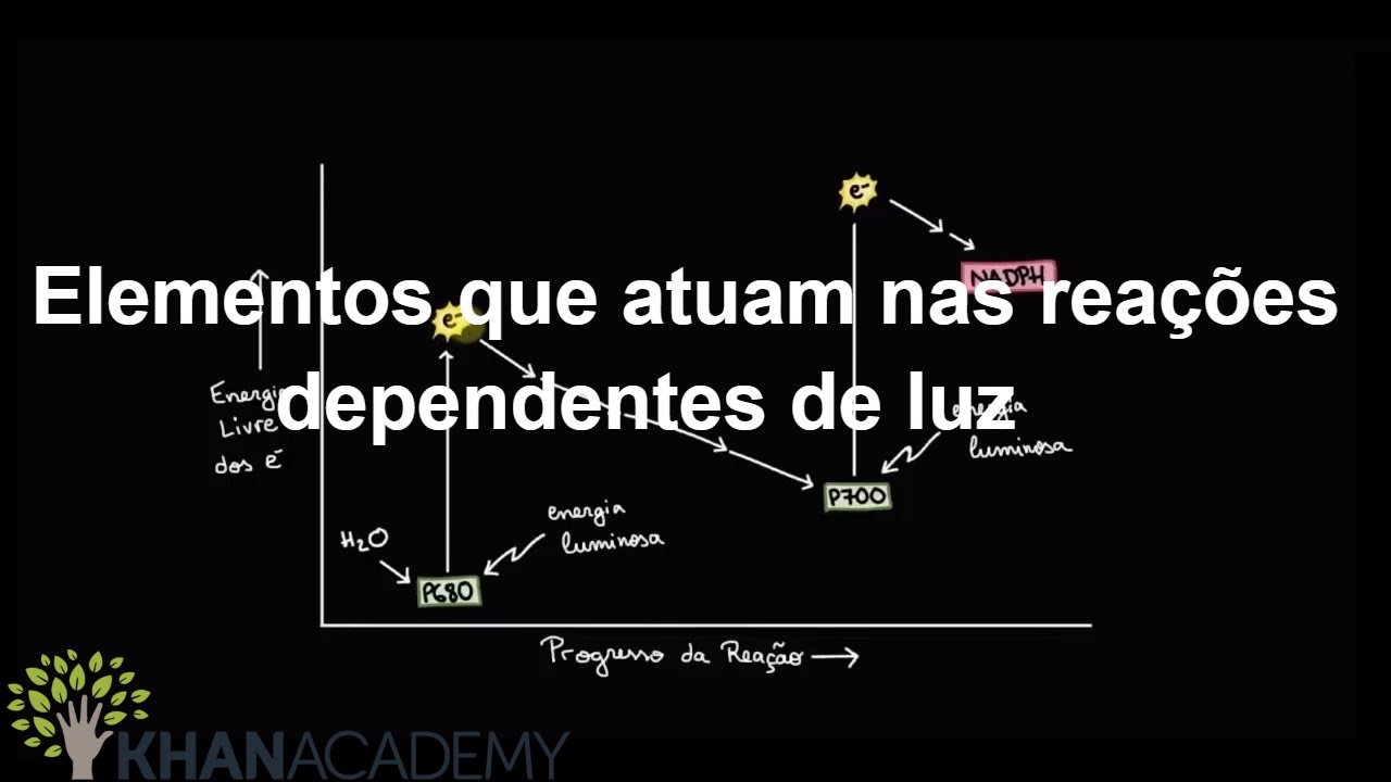 Elementos que atuam nas reações dependentes de luz | Fotossíntese | Biologia | Khan Academy