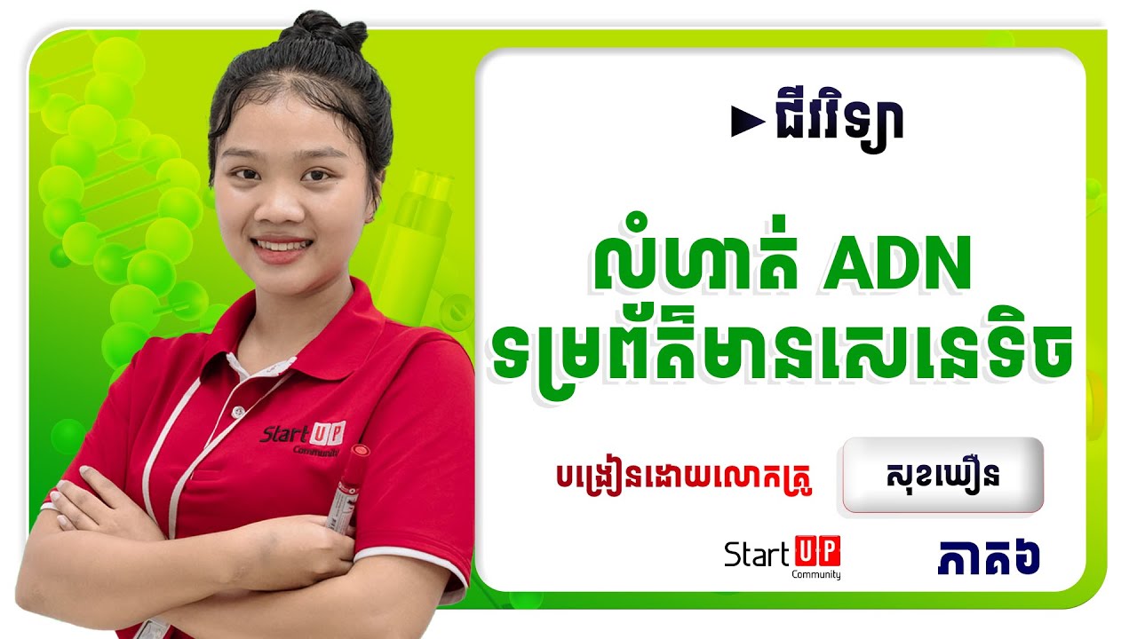 លំហាត់អនុវត្ត ADN 😍(ភាគ៦)