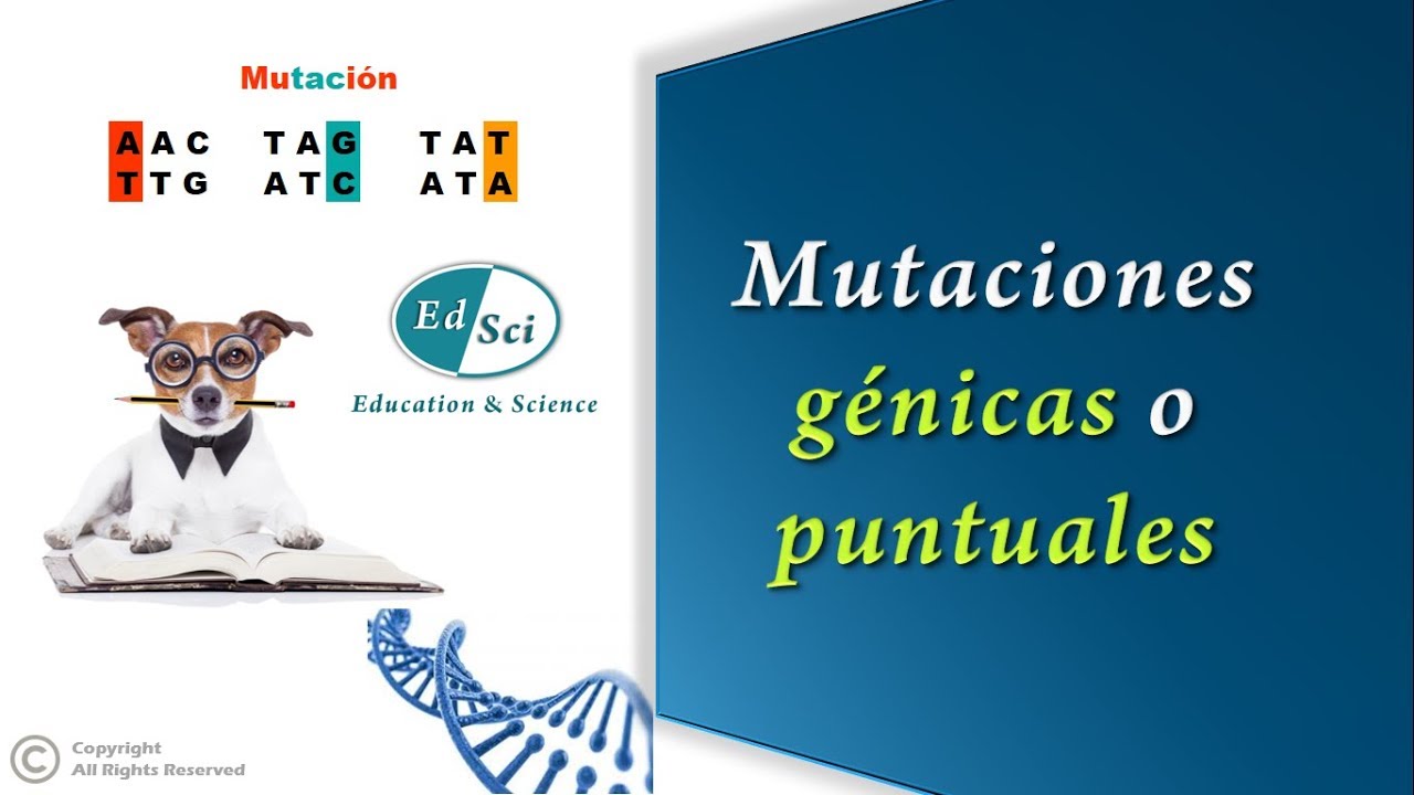 Mutaciones génicas o puntuales 🧬🔴🔝