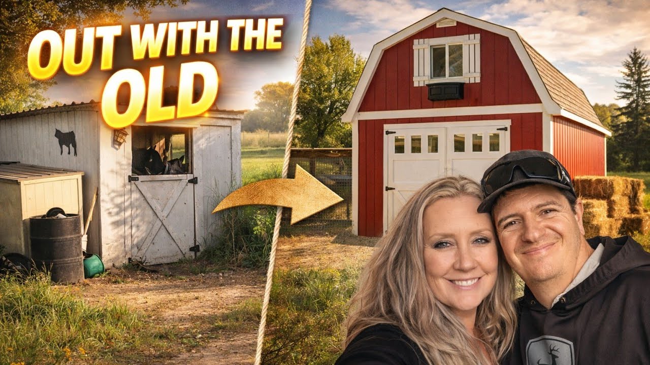 Out With the Old… Our Barnyard Upgrade Begins