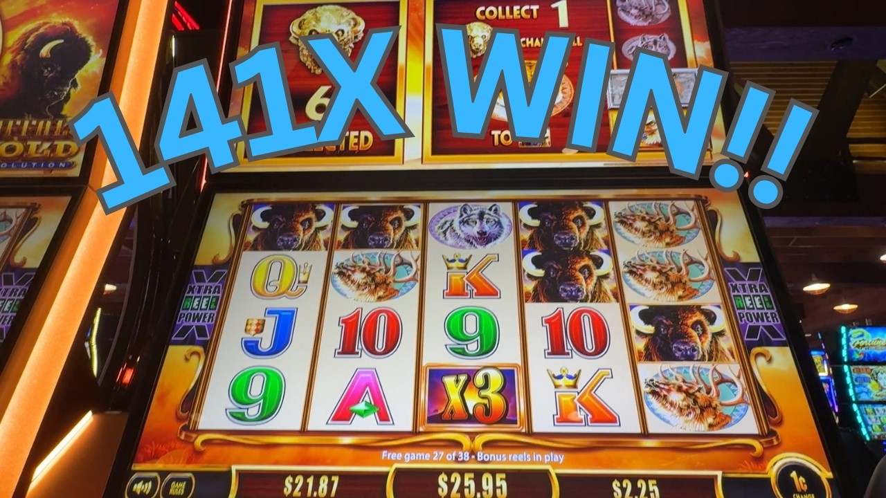 48 Free Games on Buffalo Gold Revolution!! 141x WIN!! 🦬🔥