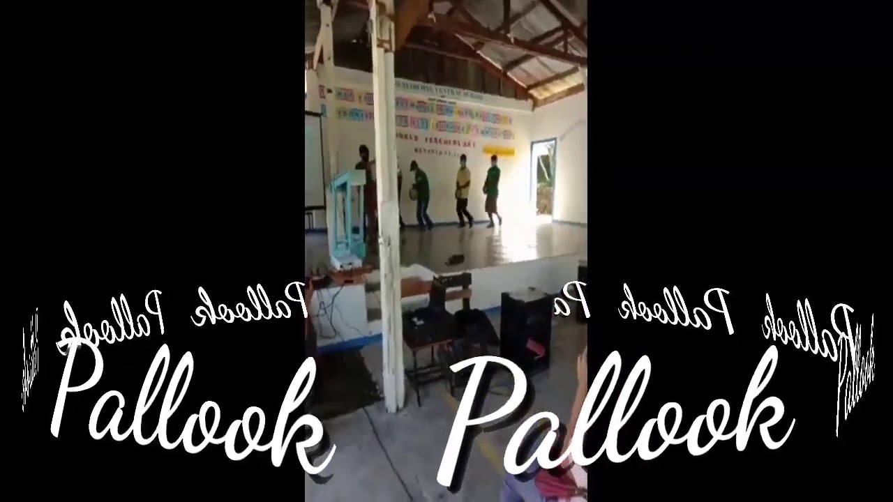 Pallook