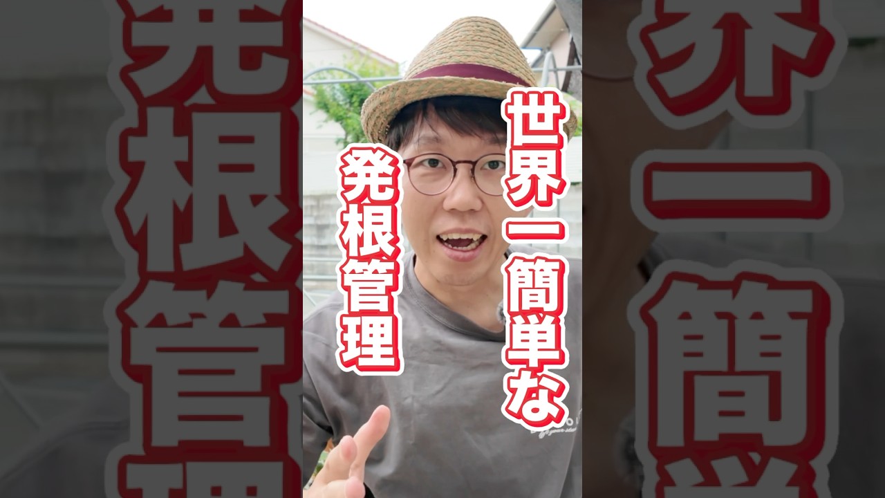 ちょー簡単発根管理！