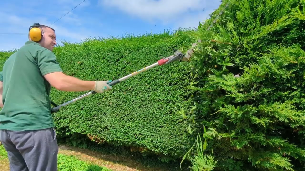 SATISFYING Leylandii Cut