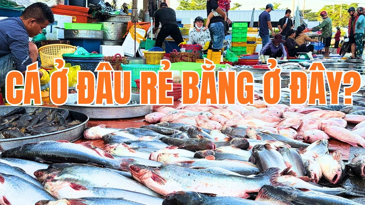 CHỢ BÌNH ĐIỀN MÃI ĐỈNH VỀ GIÁ VÀ ĐA DẠNG THỦY HẢI SẢN