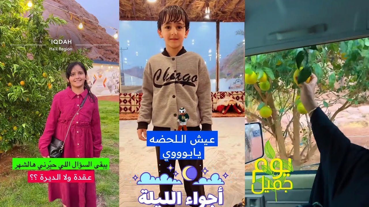 سنابات عساف الشمري| امطار حائل 🌧️، الوجهة الى عقدة مع الوالده، فزاع يبغى يعيش اللحظة مع الاجواء 😅