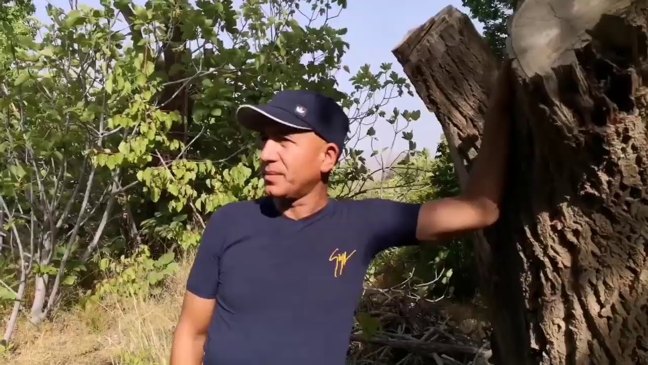 جديد فيديو كليب حبيب الشاوي بعنوان أغنية اه ياشهلة 2019 habib siadi