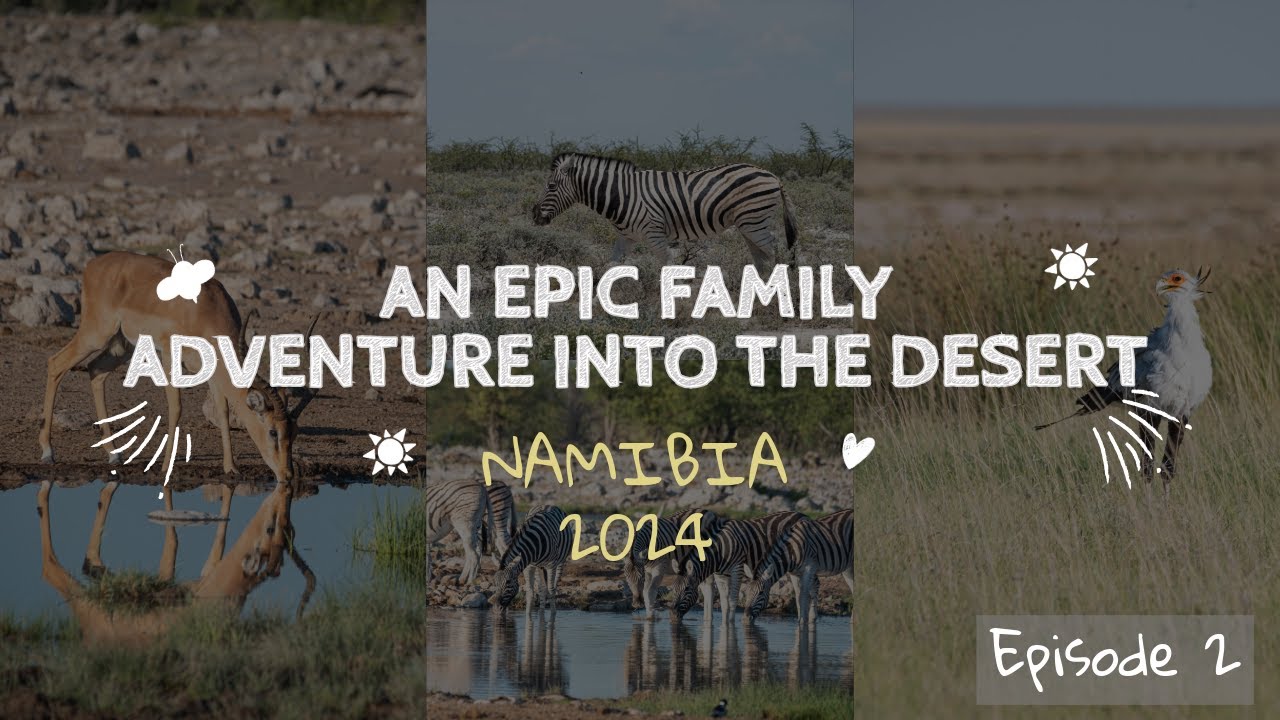 Etosha Safari Adventures | Halali Camp Wildlife & Waterhole (Episode 2)