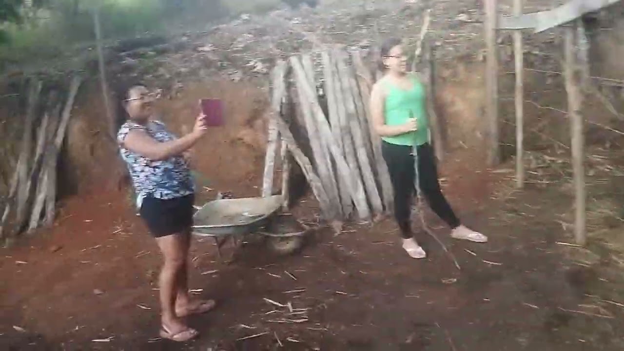Tarde no sítio 